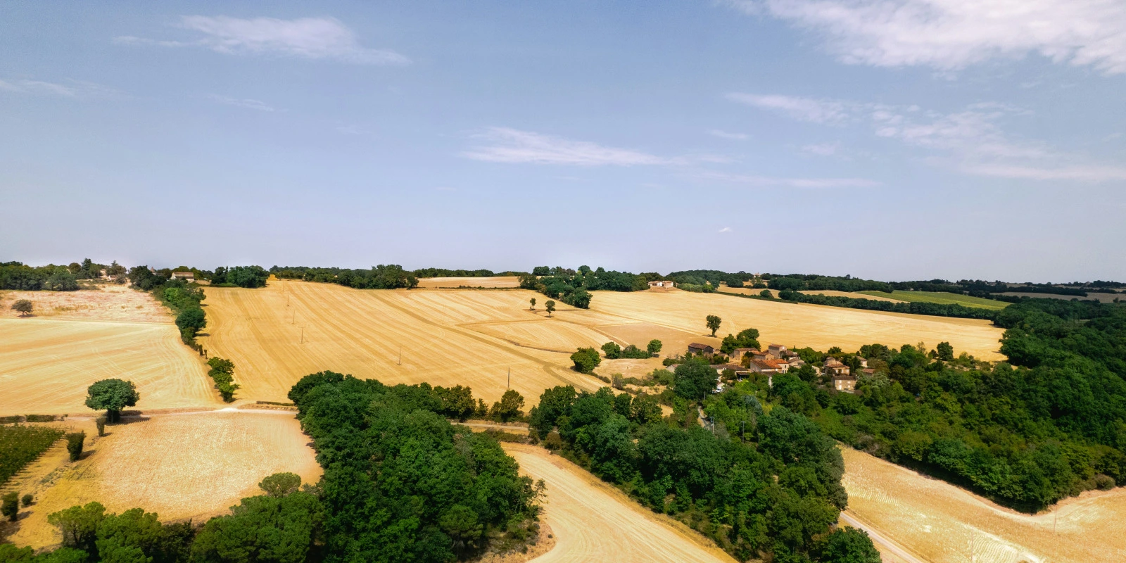 Consulter les Résultats du BTSA Anabiotec