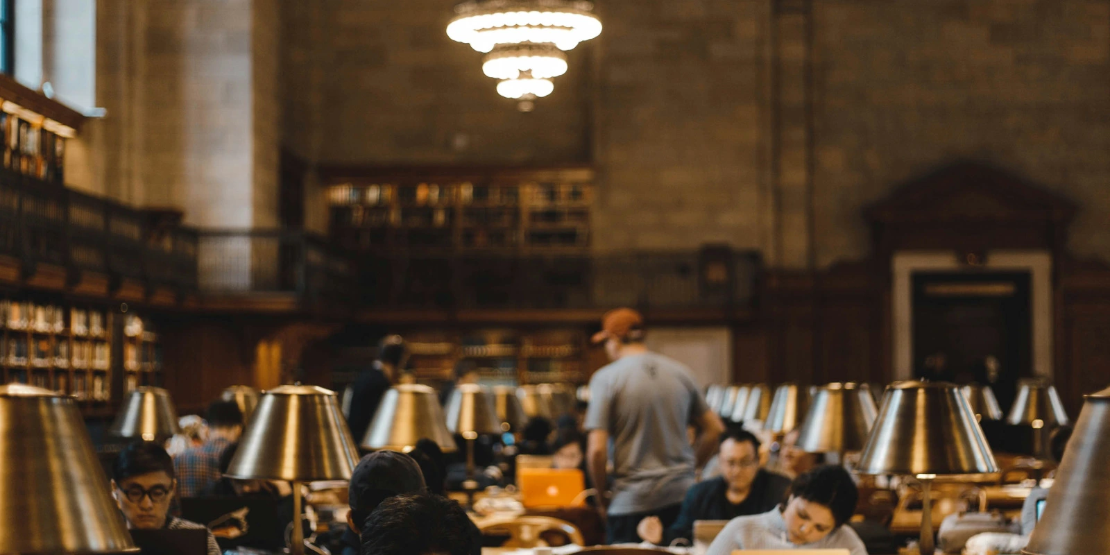 Le Programme Complet du BTSA Anabiotec