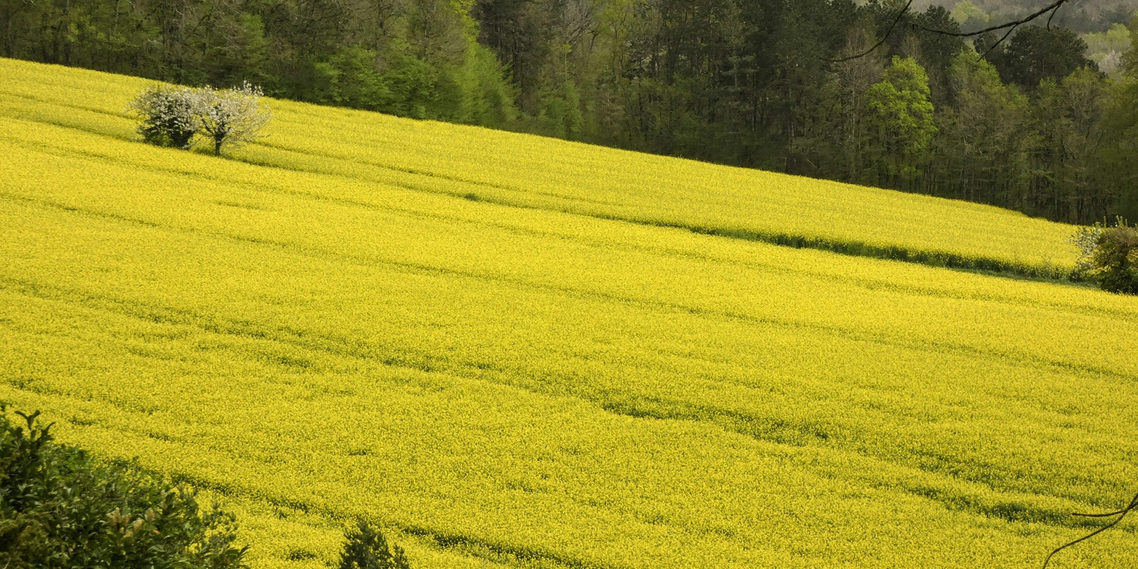 Les Cours du BTSA Anabiotec : Un Aperçu Complet