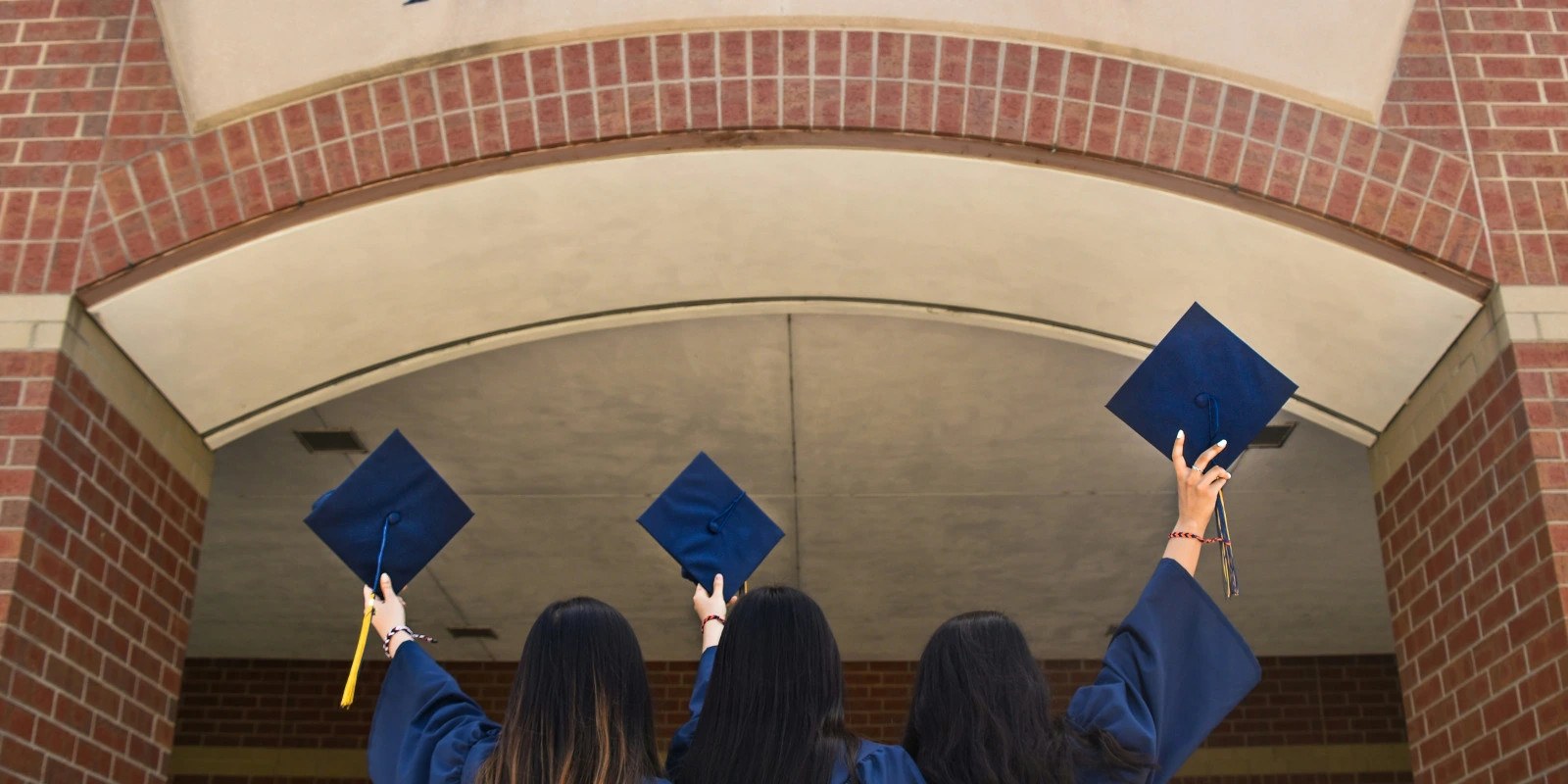 Résultats du BTSA Anabiotec : Comment les Consulter